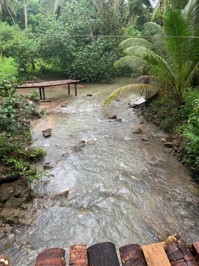 Forestel Homestay Kohkood ฟอเรสเทล โฮมสเตย์ เกาะกูด Ban Khlong Chao Ngoại thất bức ảnh
