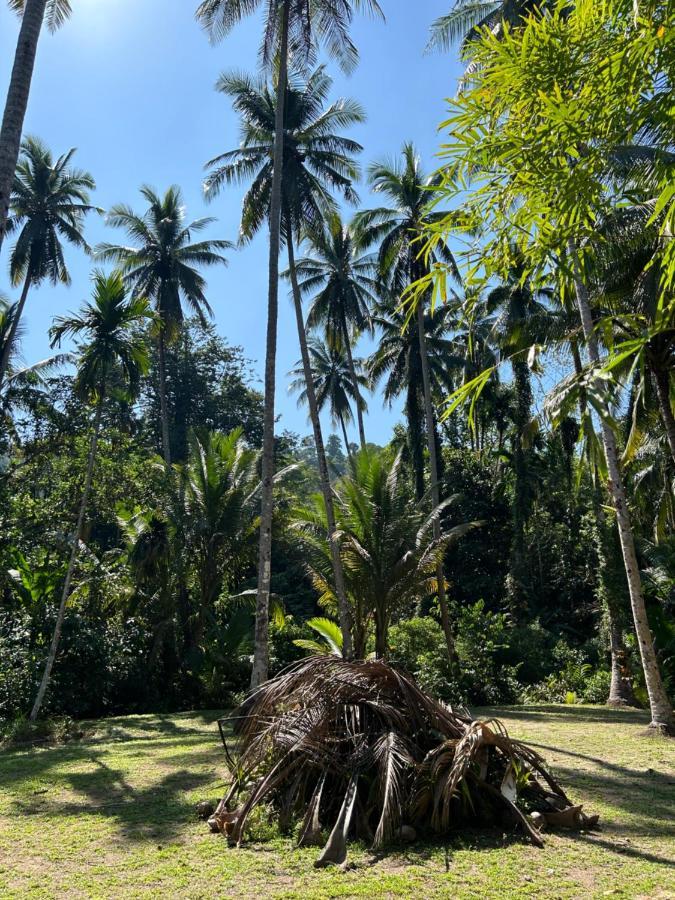 Forestel Homestay Kohkood ฟอเรสเทล โฮมสเตย์ เกาะกูด Ban Khlong Chao Ngoại thất bức ảnh